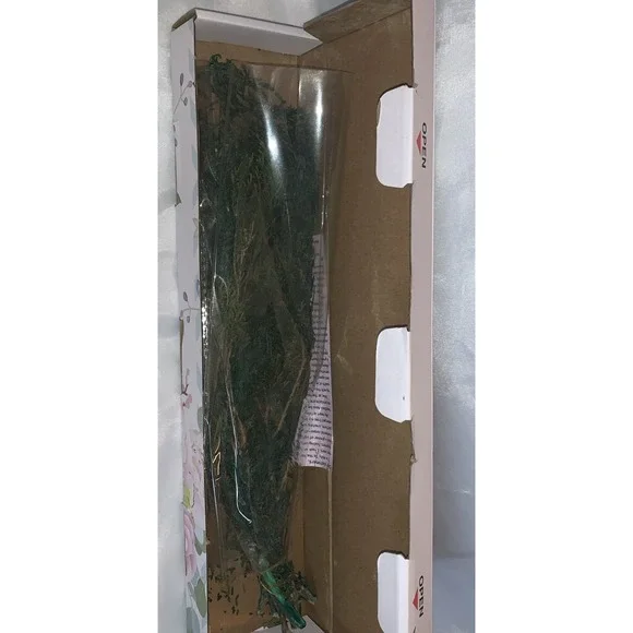 Preserved Real Pine Leaves Branches - 17'' Natural Arrangements Holiday‎ - Picture 2 of 4